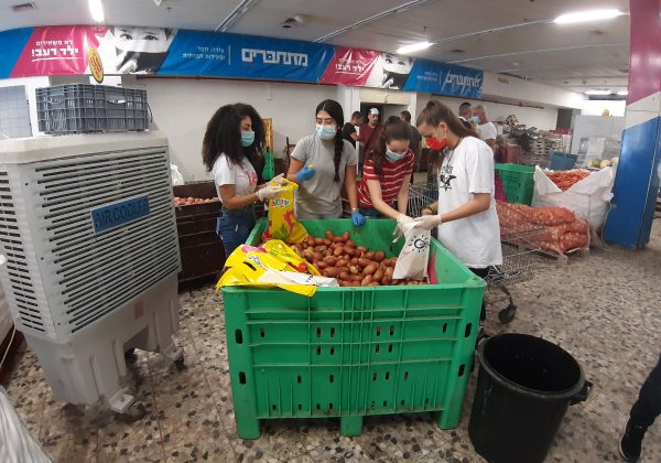 פרויקט חמניות כיתה ט’2