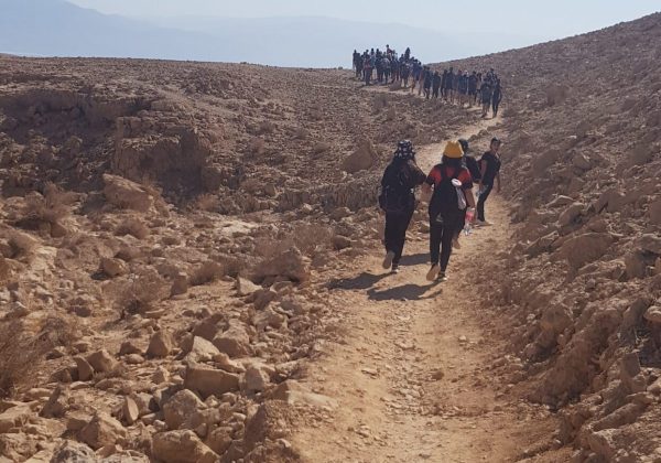 תלמידי ט’ מטיילים במדבר יהודה