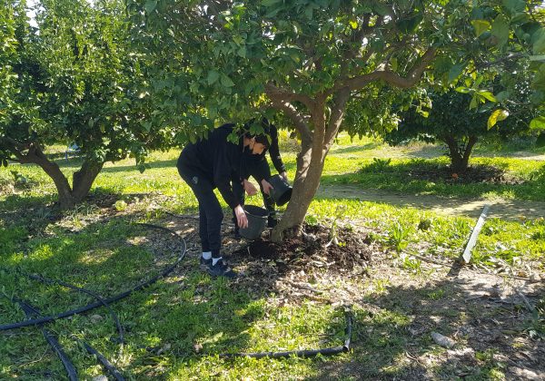 השקת ‘שכבה מעורבת’ – שכבה ט’ מתנדבת בקהילה
