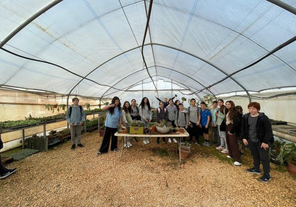 יום שיא בהוראה בינתחומית – שכבה ז’
