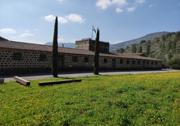 סיור בתל חי