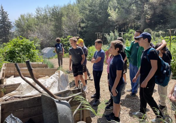 תרבות הצריכה מבקרים בחווה אורגנית ביעד ובמרכז מסחרי יודפת
