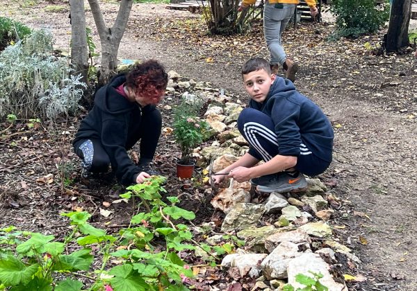 ט”ו בשבט בשכבה ח’