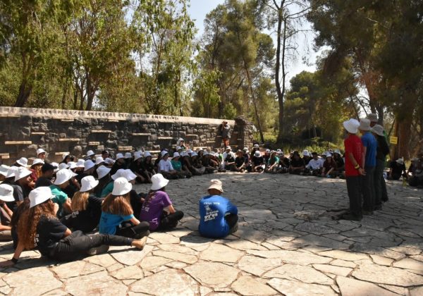 קורסי מש”צים