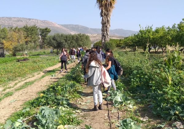יום פל”א בלמידה בינתחומית