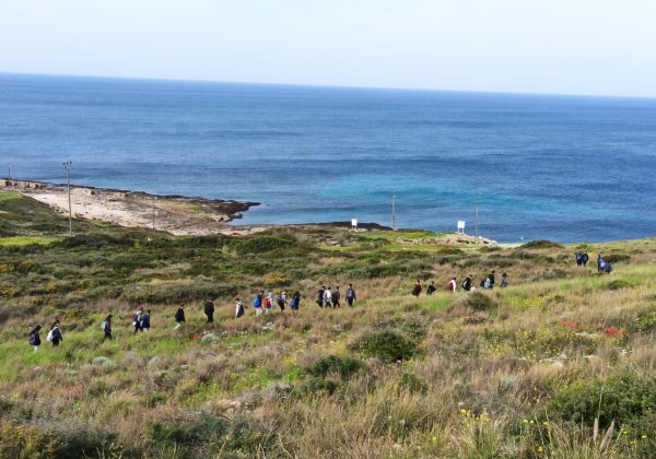 אחריותנו על הסביבה – יום שדה בראש הנקרה – אכזיב