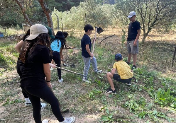 יום שיא בקורסים הבינתחומיים בשכבה ז’