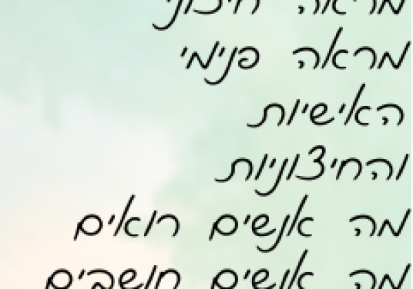 מראה חיצוני, מראה פנימי