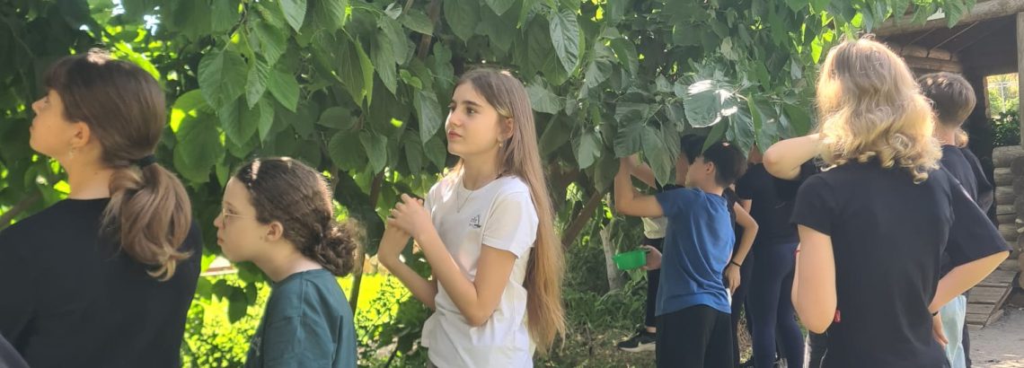 אתגרי המזון והתזונה